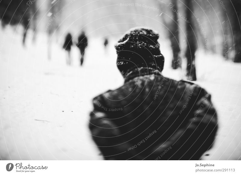colder Winter Weather Snow Snowfall Human being To go for a walk Forest Coat Cap Going Walking Seasons blurred vision Cold lensbaby Black & white photo