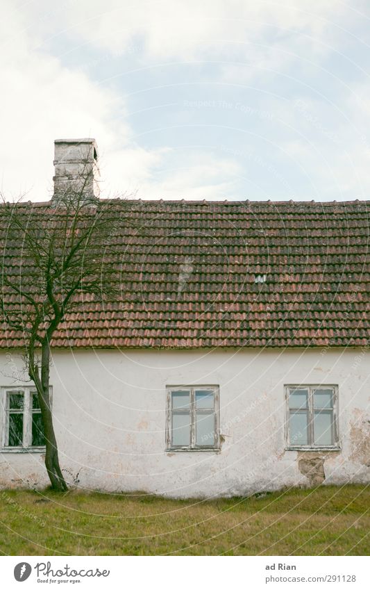 waiting for better times. Environment Sky Clouds Winter Beautiful weather Ice Frost Drought Tree Grass Field Village Deserted House (Residential Structure) Hut