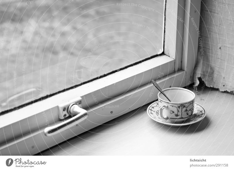 country life To have a coffee Hot drink Coffee Tea Plate Cup Spoon Village Window Old Nostalgia Window pane Door handle Glazing Wallpaper Change of scene
