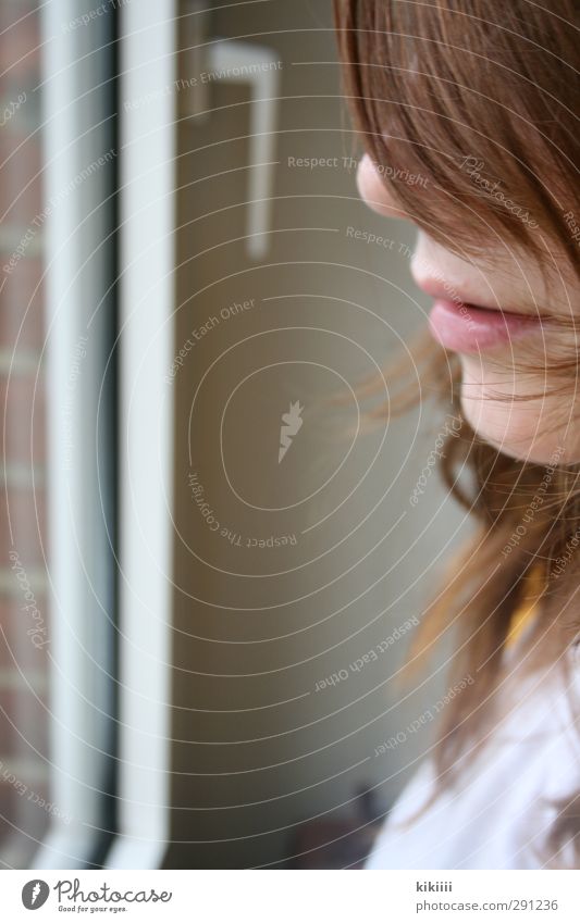 vision Window Mouth Nose Hair and hairstyles Girl Looking Brick Glass Door handle Face Lips Profile