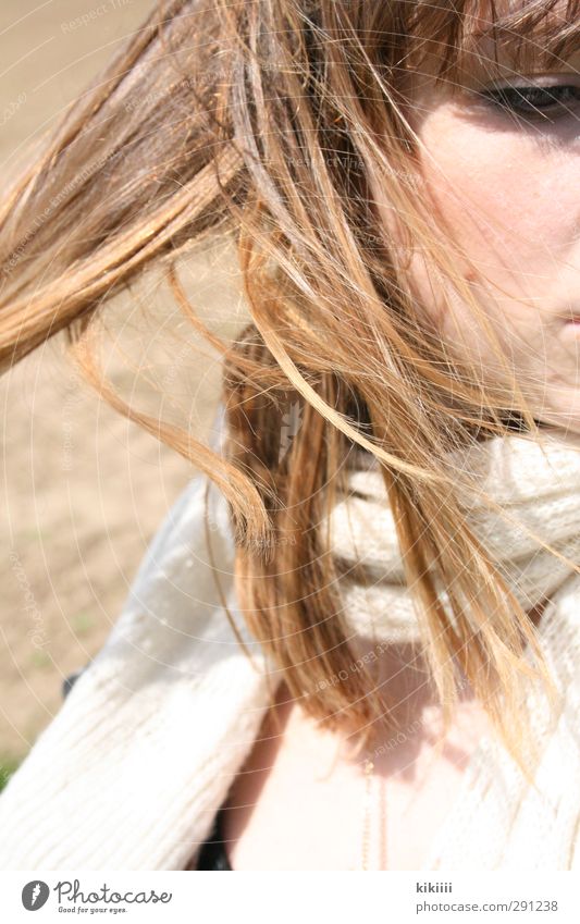 wind Wind Hair and hairstyles Face Girl Scarf Looking Eyes Cold Bright Beige Field Sun Sunbeam Movement Dreamily