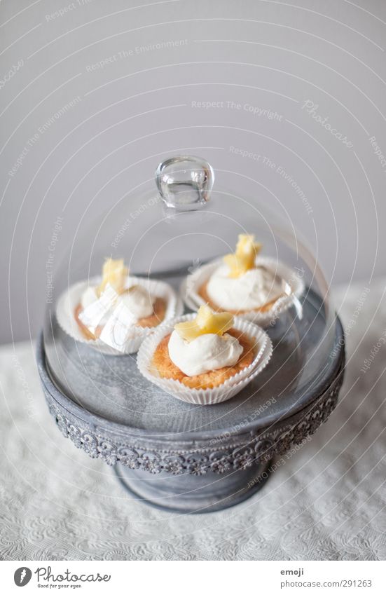 cute Dessert Candy Nutrition Finger food Crockery Bowl Delicious Sweet Muffin Cupcake Cake plate Colour photo Interior shot Deserted Copy Space top