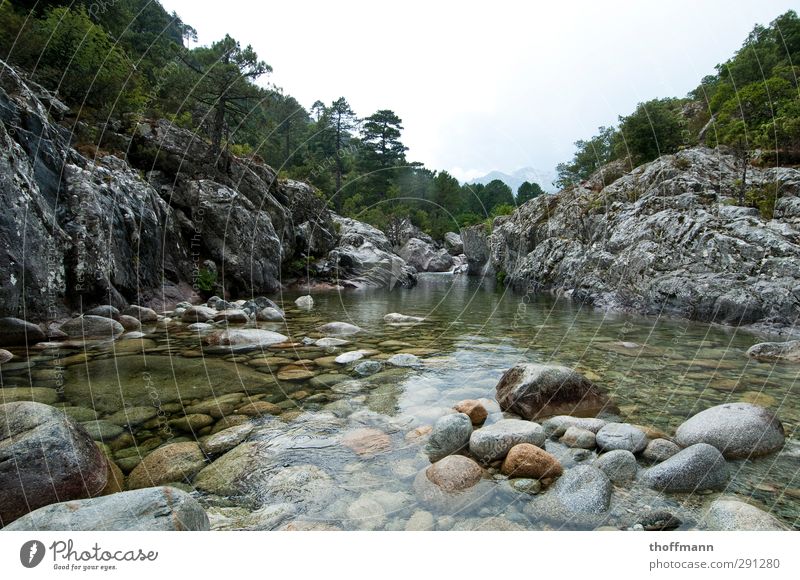 Corsica France Vacation & Travel Travel photography Stone Water Tree Rock River Body of water Mountain Valley Swimming & Bathing Float in the water Wet Cold