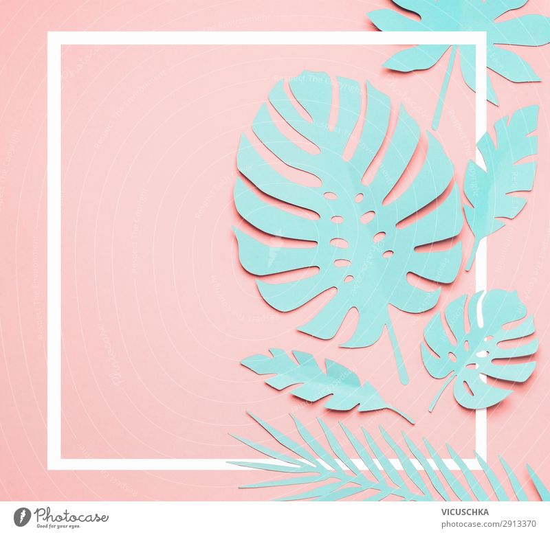 Turquoise tropical leaves frame Style Design Exotic Summer Decoration Nature Plant Leaf Fashion Hip & trendy Beautiful Pink Surrealism Background picture