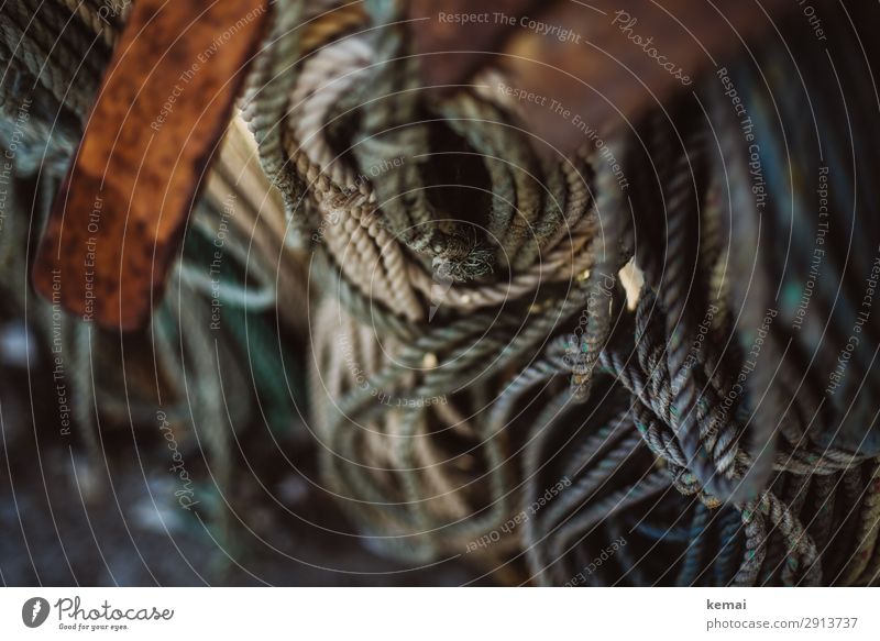 rope Rope Hang Authentic Long Maritime Round Many Brown Gray Colour photo Subdued colour Exterior shot Close-up Detail Deserted Day Light Contrast Sunlight