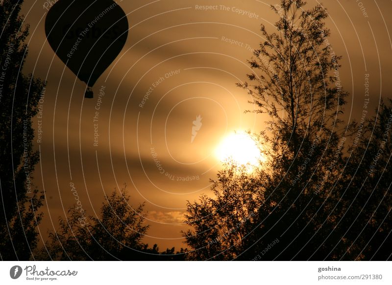 silhouette Nature Landscape Sky Summer Beautiful weather Tree Garden Field Hot Air Balloon Vacation & Travel Free Warmth Contentment Warm-heartedness Calm