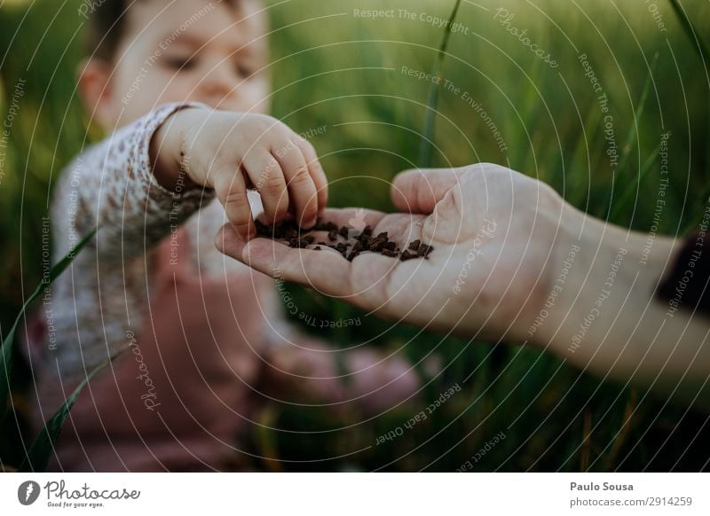 Child touching soil in mothers hand Lifestyle Human being Baby Girl Mother Adults Hand 1 1 - 3 years Toddler Environment Nature Summer Touch Discover To enjoy