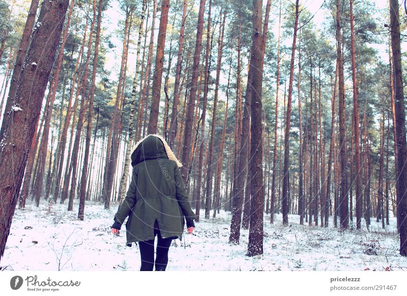 I walked in the woods... To go for a walk Feminine Young woman Youth (Young adults) Body Back 1 Human being Nature Winter Ice Frost Snow Parka Hooded (clothing)