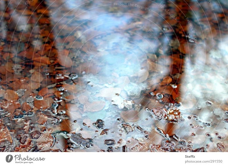 longing Longing differently November November mood melancholically melancholy Loneliness silent Meaning Water reflection Puddle Autumn feeling tranquillity