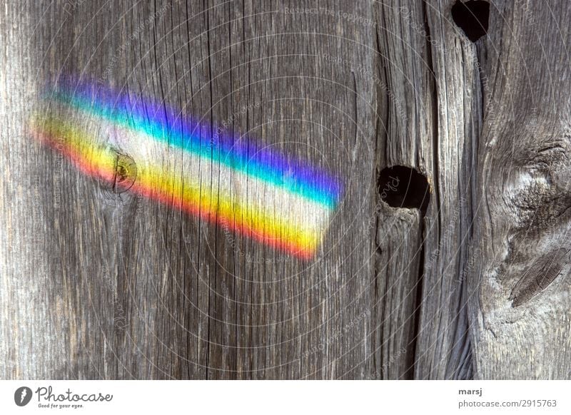 Rainbow on old wooden wall Wood grain Knothole Prismatic colors Illuminate Authentic Kitsch Multicoloured Strange Old Wooden board Patina deceased Past