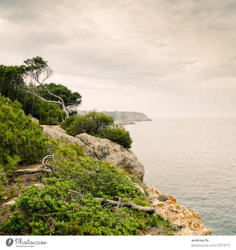 coastline Vacation & Travel Far-off places Freedom Summer Ocean Mountain Nature Landscape Water Sky Clouds Storm clouds Horizon Bad weather Tree Rock Lakeside