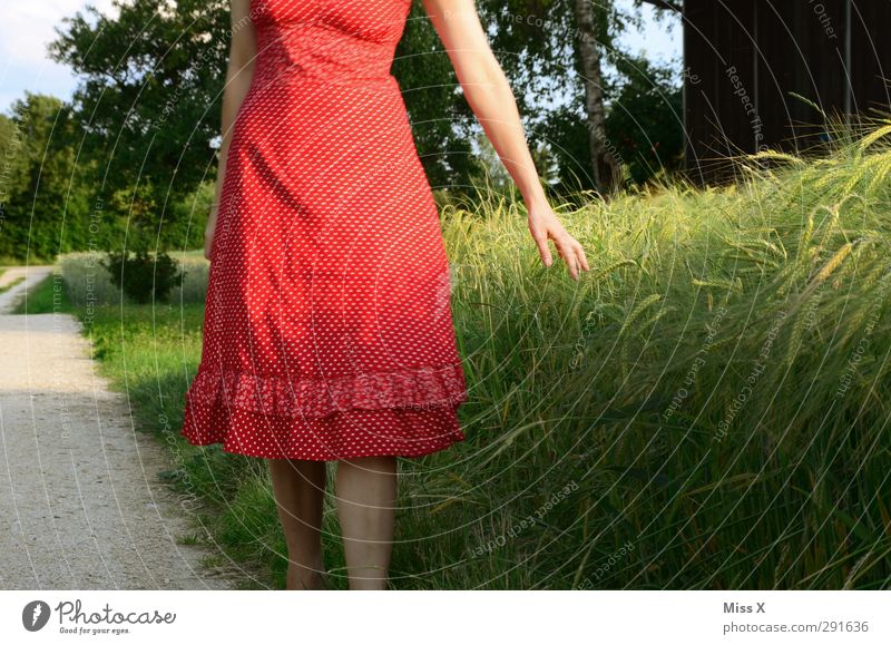 summer day Human being Young woman Youth (Young adults) 1 18 - 30 years Adults Field Dress Beautiful Red Wheat Wheatfield Colour photo Exterior shot Evening