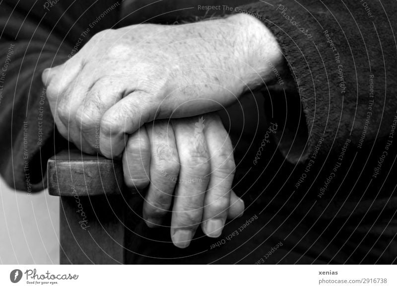Hands of a man on the back of a chair in black and white hands Chair Backrest Masculine Male senior Man Adults Senior citizen Life Fingers Fingernail 1