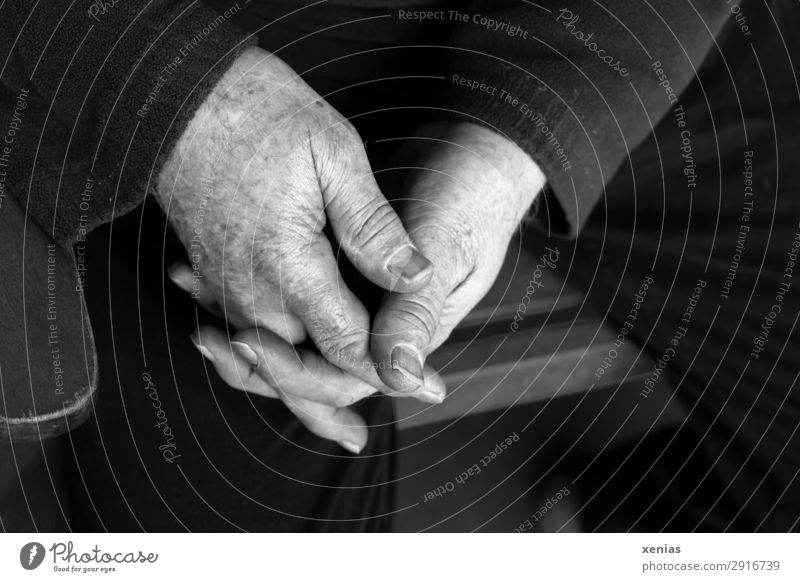 Senior hands folded in black and white next to chair back Chair Human being Masculine Man Adults Male senior Senior citizen Hand Fingers Legs 1 45 - 60 years