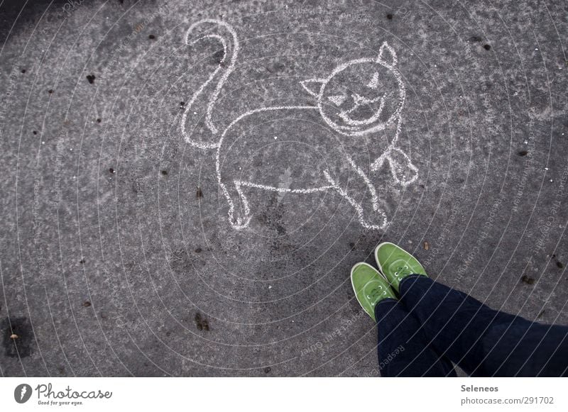 Solution? Human being Legs Feet 1 Street painting Jeans Footwear Animal Pet Cat Stone Concrete Stand Love of animals Chalk Drawing Asphalt Colour photo