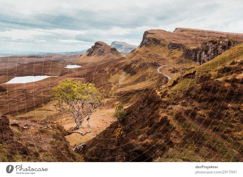 Hike across the Isle of Skye IX Panorama (View) Lake coast Lakeside Landscape Rock Bay Beautiful weather Summer Animal Plant Waves Environmental protection