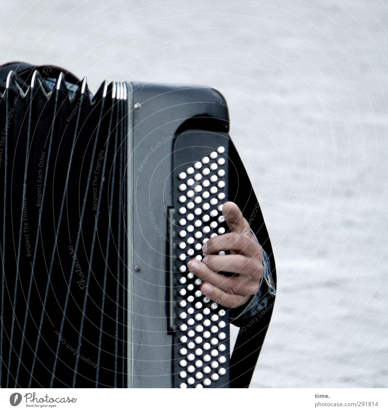 ///|:::<) Hand Fingers 1 Human being Artist Event Music Outdoor festival Musician Accordion Accordion player Musical instrument button accordion Listen to music