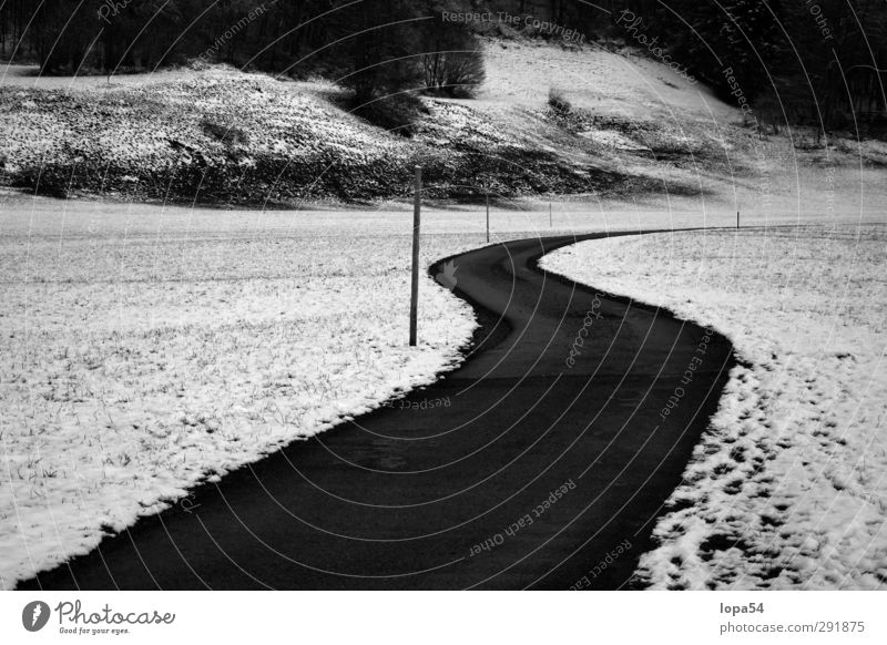 road Winter Snow Winter vacation Hiking Environment Nature Landscape Meadow Field Street Lanes & trails Freeze Cold Black White Loneliness Far-off places