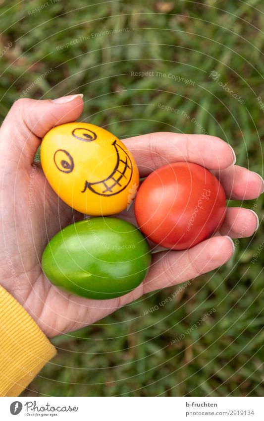 Colourful Easter eggs, laughing yellow egg Food Nutrition Organic produce Man Adults Hand Fingers Select Observe To hold on Happiness Fresh Healthy Yellow Green