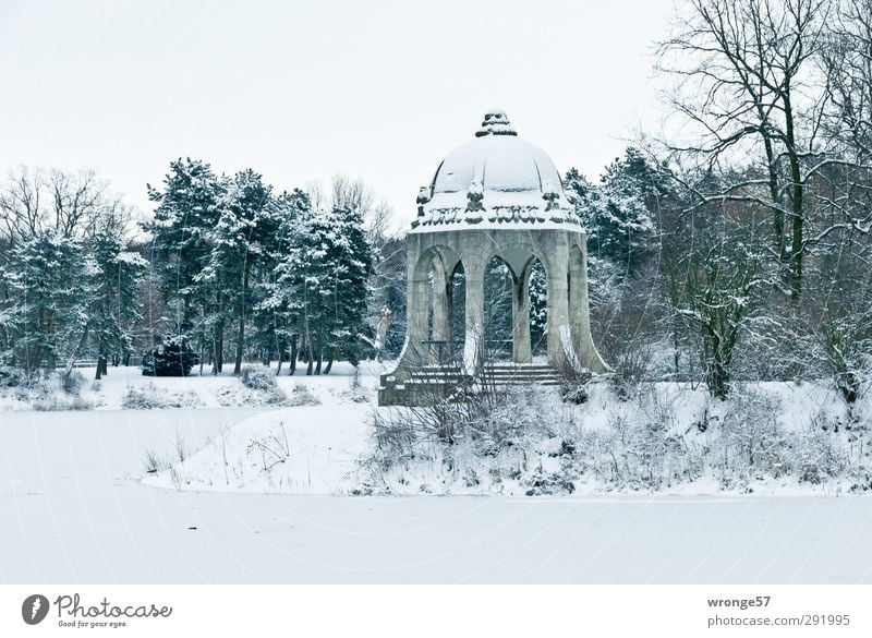 Winter in Stadtpark I Trip Ice Frost Snow Tree Park Lake Adolf Midday Lake Magdeburg Germany Saxony-Anhalt Europe Town Capital city Downtown Deserted