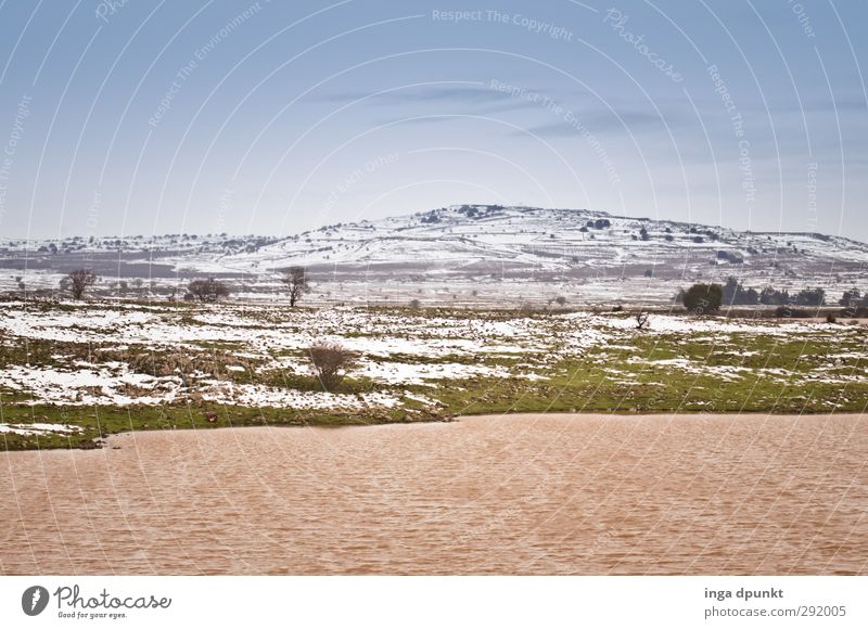 One day winter Environment Nature Landscape Plant Climate Climate change Weather Grass Lakeside Israel Mountain Winter Snow melt Near and Middle East Adventure