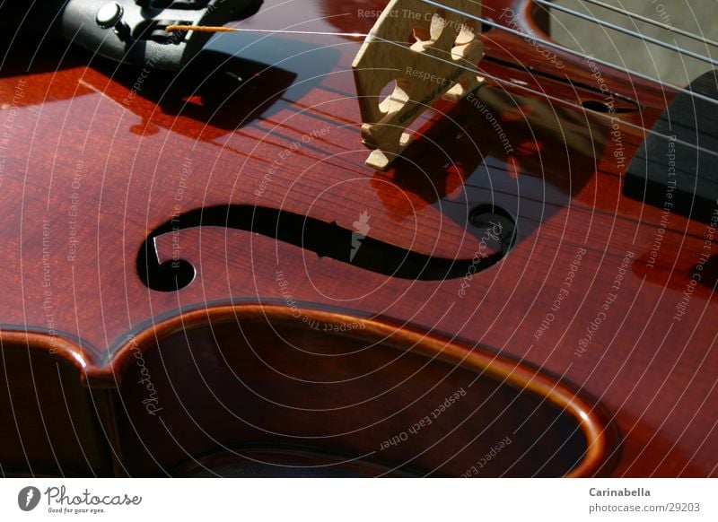 Violin II Resonator Musical instrument string Wood Brown Things