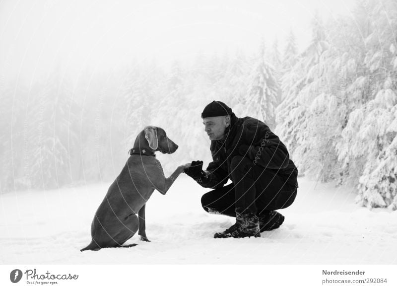 Man and Weimaraner hunting dog in the winter forest Lifestyle Winter Snow Winter vacation Team Human being Adults Friendship 1 45 - 60 years Climate Weather Fog