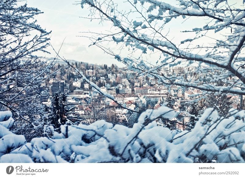 Winter Environment Nature Landscape Ice Frost Snow Small Town Outskirts House (Residential Structure) Cold City life Sankt Gallen Switzerland Winter mood