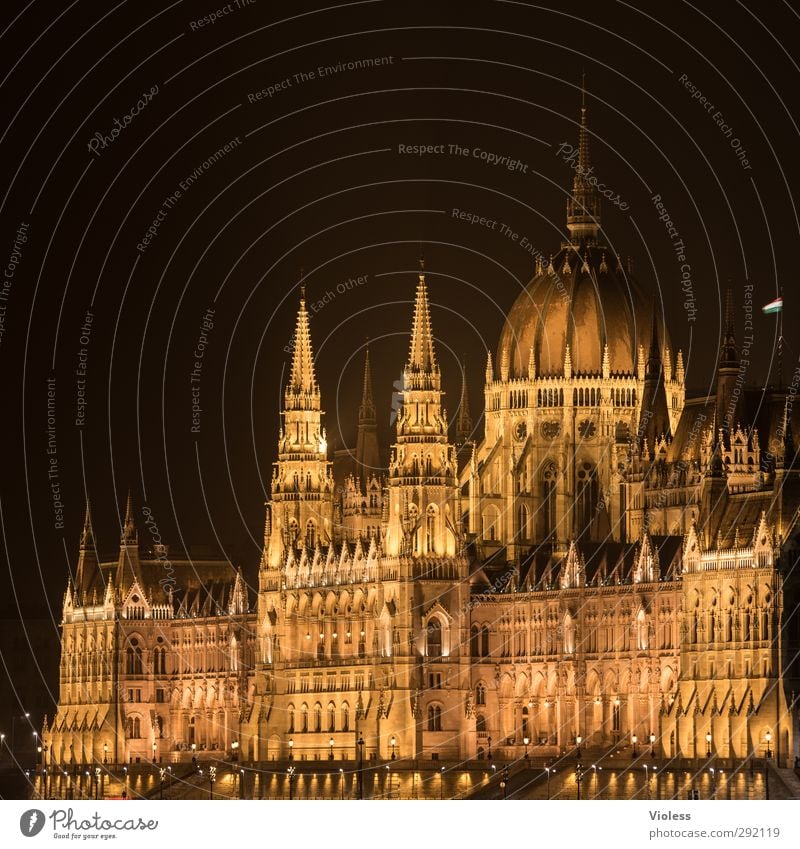 not all the gold that..... Port City Parliament Landmark Famousness Gold Might neo-Gothic Budapest Colour photo Night Long exposure