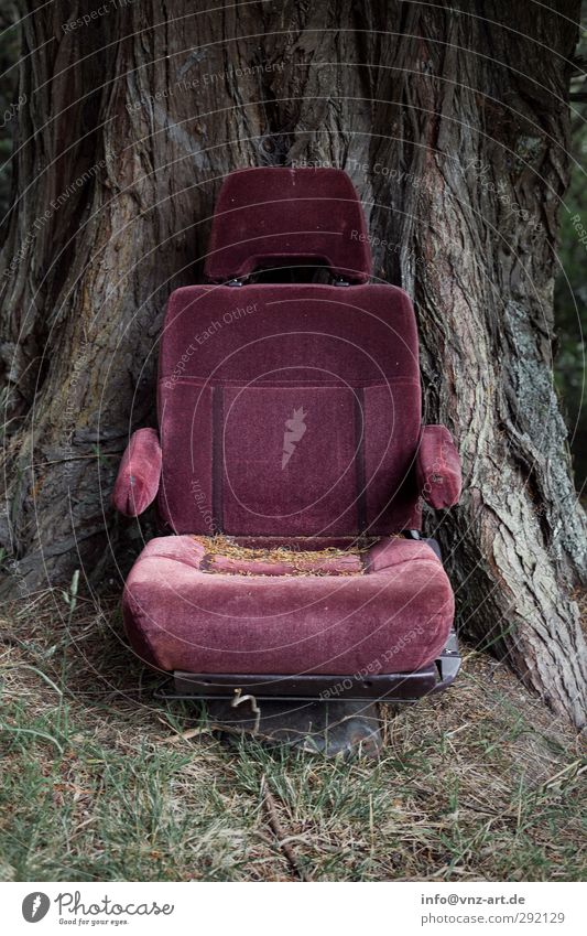 chair Redecorate Moving (to change residence) Furniture Armchair Chair Environment Nature Earth Tree Old Gray Violet Fear of flying Fiasco Movie theater seat