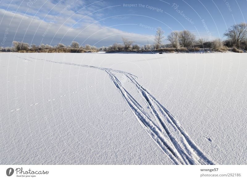 Tracks in the snow Nature Sky Clouds Winter Beautiful weather Ice Frost Snow Tree Lake Lake Salbker Blue White Snowscape Snow layer Ice lake Lakeside Cold
