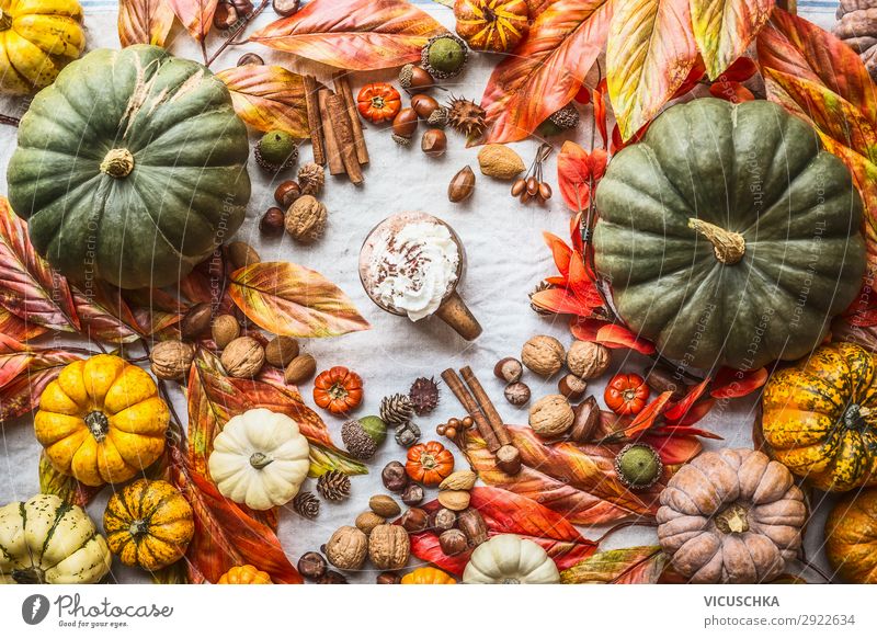 Assortment of colorful farm pumpkins with mug of hot chocolate, nuts , spices and autumn leaves, top view. Autumn still life assortment thanksgiving recipes