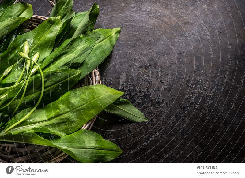Fresh ramson, wild garlic, leaves on dark rustic background, top view. Copy space for your design, text or recipes. Spring seasonal food fresh copy space spring