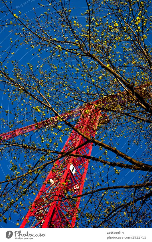 Construction site in spring slewing crane Worm's-eye view Building Commerce Labor union Sky Heaven Blue sky Sky blue Industry Crane Montage