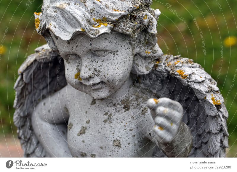 trench hedgehog Sculpture Stone Angel Old Esthetic Gloomy Gray Sadness Grief Popular belief Belief Religion and faith Hope Figure Grave Colour photo