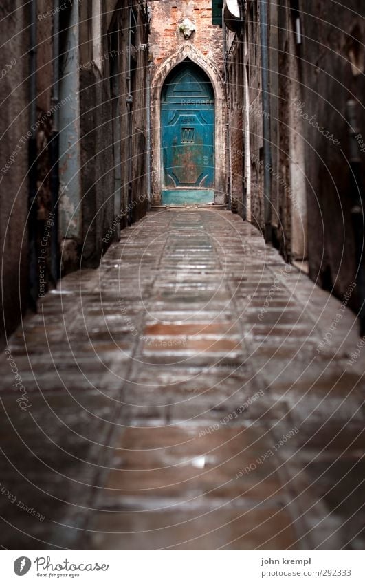 Old houses | Bittis guardian angel Venice Italy Town Port City Old town House (Residential Structure) Palace Manmade structures Building Architecture palazzo