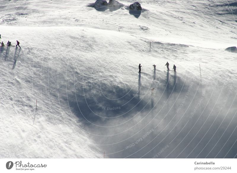 Engstligenalp Skiing Ski run Sports windstorm Mountain Snow