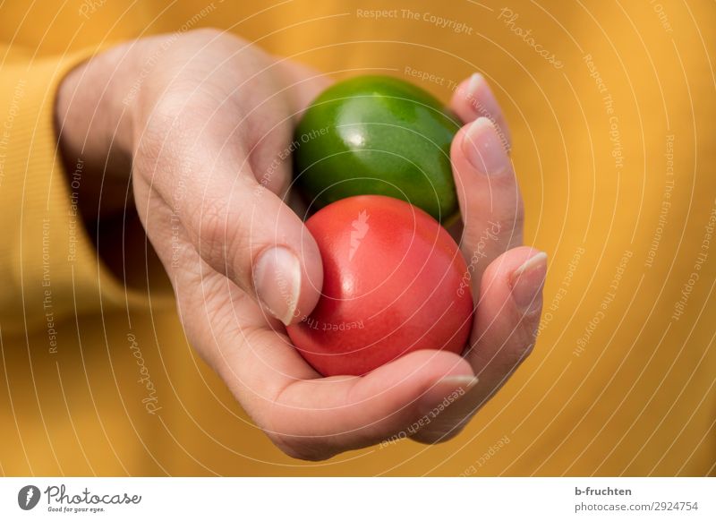 Holding two colorful eggs in your hand Food Nutrition Organic produce Healthy Healthy Eating Man Adults Hand Fingers Select Touch Feasts & Celebrations