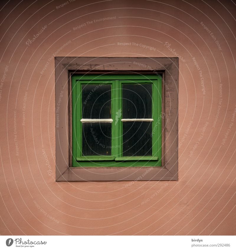 Central Midfield Window Esthetic Simple Original Positive Beautiful Green Red Hope Pure Town 1 Square Warm colour Pink Colour photo Exterior shot Isolated Image