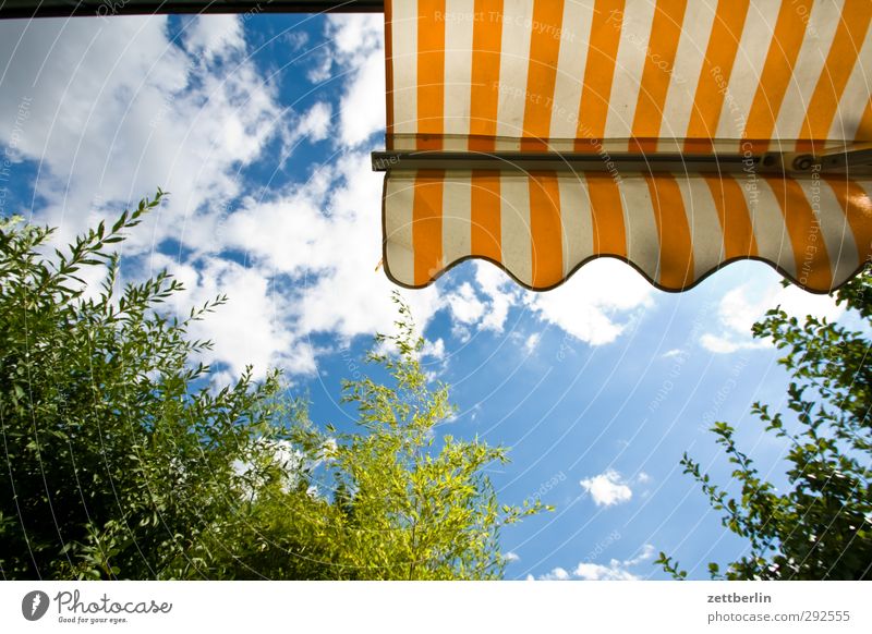 awning Joy Wellness Harmonious Well-being Contentment Leisure and hobbies Vacation & Travel Tourism Trip Freedom Summer Sun Garden Sky Clouds Climate