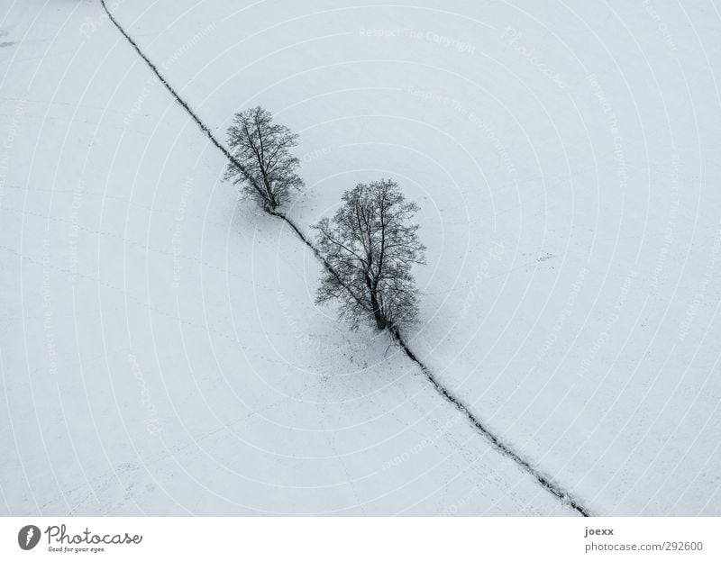 Big Brother Nature Landscape Winter Weather Snow Tree Field Gray Black White Cold Colour photo Subdued colour Exterior shot Aerial photograph Deserted Day