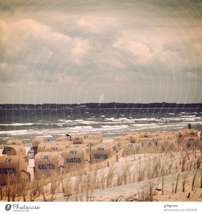 the order of things Environment Nature Landscape Elements Sand Water Sky Clouds Weather Bad weather Storm Wind Gale Plant Grass Waves Coast Beach North Sea