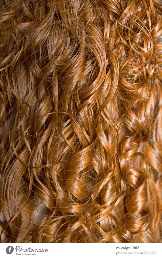 Red Curls Beautiful Hair and hairstyles Feminine Red-haired Long-haired Glittering Wet Clean Colour photo Detail Pattern