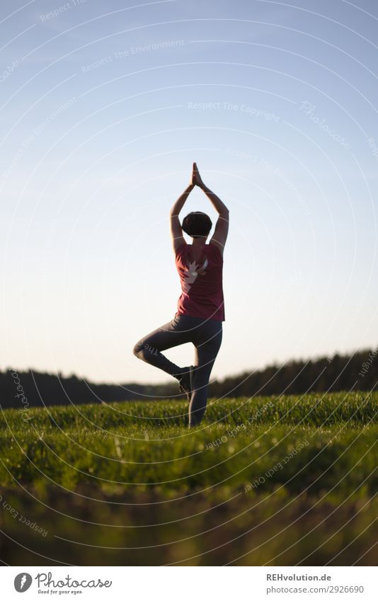 Woman doing yoga in nature Yoga Sports Athletic Silhouette Lifestyle Attentive Back-light Nature Human being tranquillity silent Sunlight Sunset relaxation