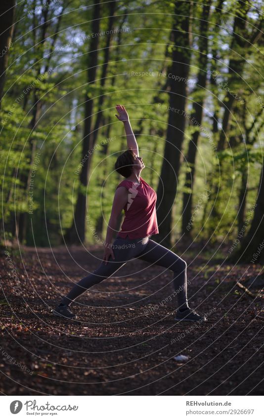 Yoga in the forest Lifestyle Healthy Athletic Fitness Well-being Contentment Relaxation Calm Meditation Leisure and hobbies Sports Human being Feminine