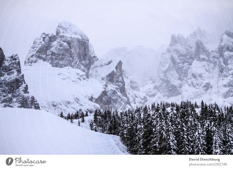 I am cheerful, the mountains are cloudy Vacation & Travel Winter Snow Winter vacation Mountain Hiking Landscape Sky Clouds Bad weather Fog Ice Frost Plant Tree