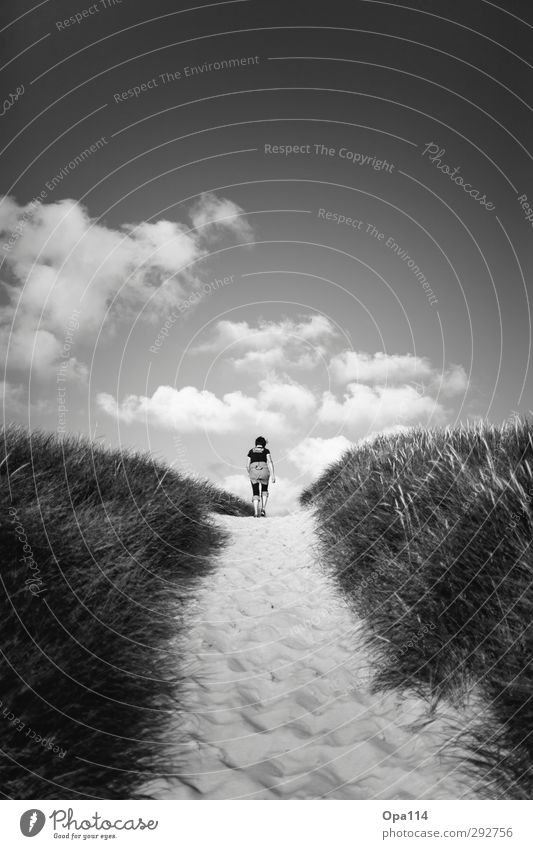 Long Way Home II Human being Feminine Woman Adults Mother 1 30 - 45 years Environment Nature Landscape Summer North Sea Hiking Infinity Black White Freedom