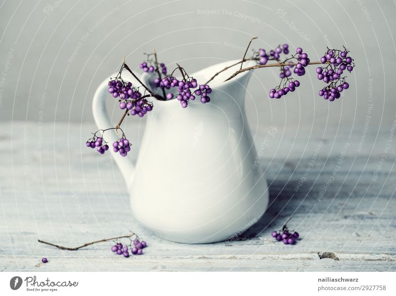 Still Life White & Purple Crockery Mug Lifestyle Elegant Style Plant Bushes Branch Jug Milk churn Vase Glass Esthetic Authentic Simple Fresh Cold Beautiful Soft