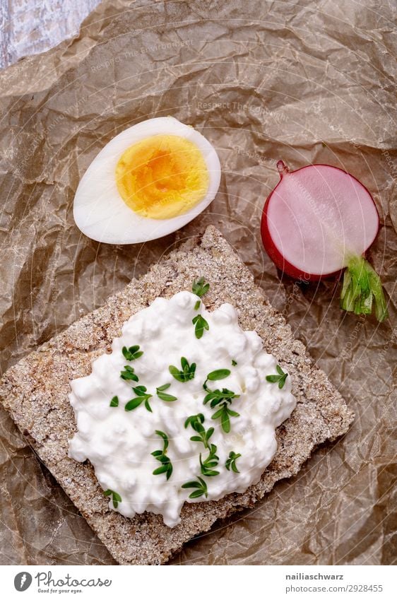 Crispbread with cream cheese, egg and radish Food Cheese Dairy Products Vegetable Grain Dough Baked goods Herbs and spices Cream cheese Egg Radish