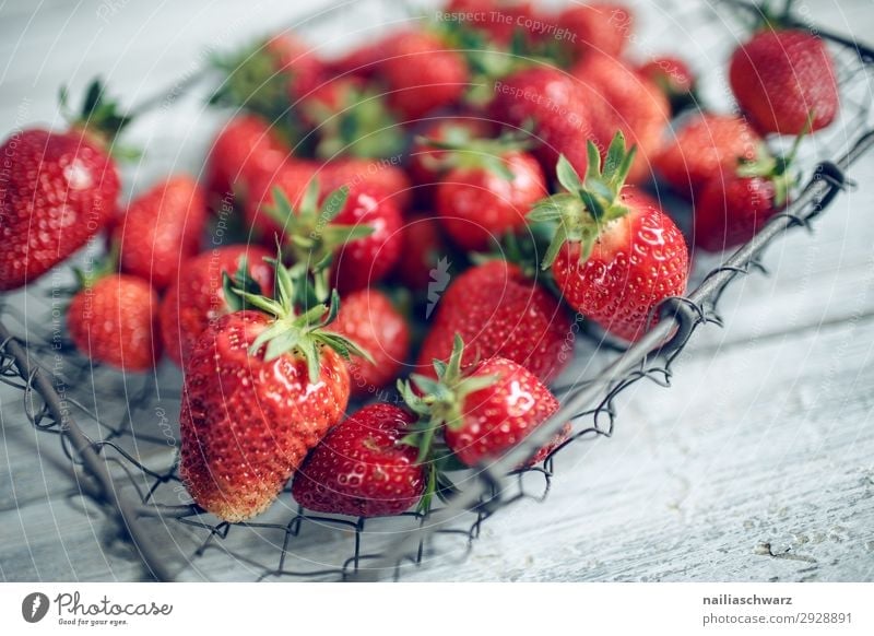 Fresh strawberries Food Fruit Strawberry Nutrition Organic produce Vegetarian diet Diet Bowl Basket Wire basket Lifestyle Shopping Healthy Healthy Eating Summer